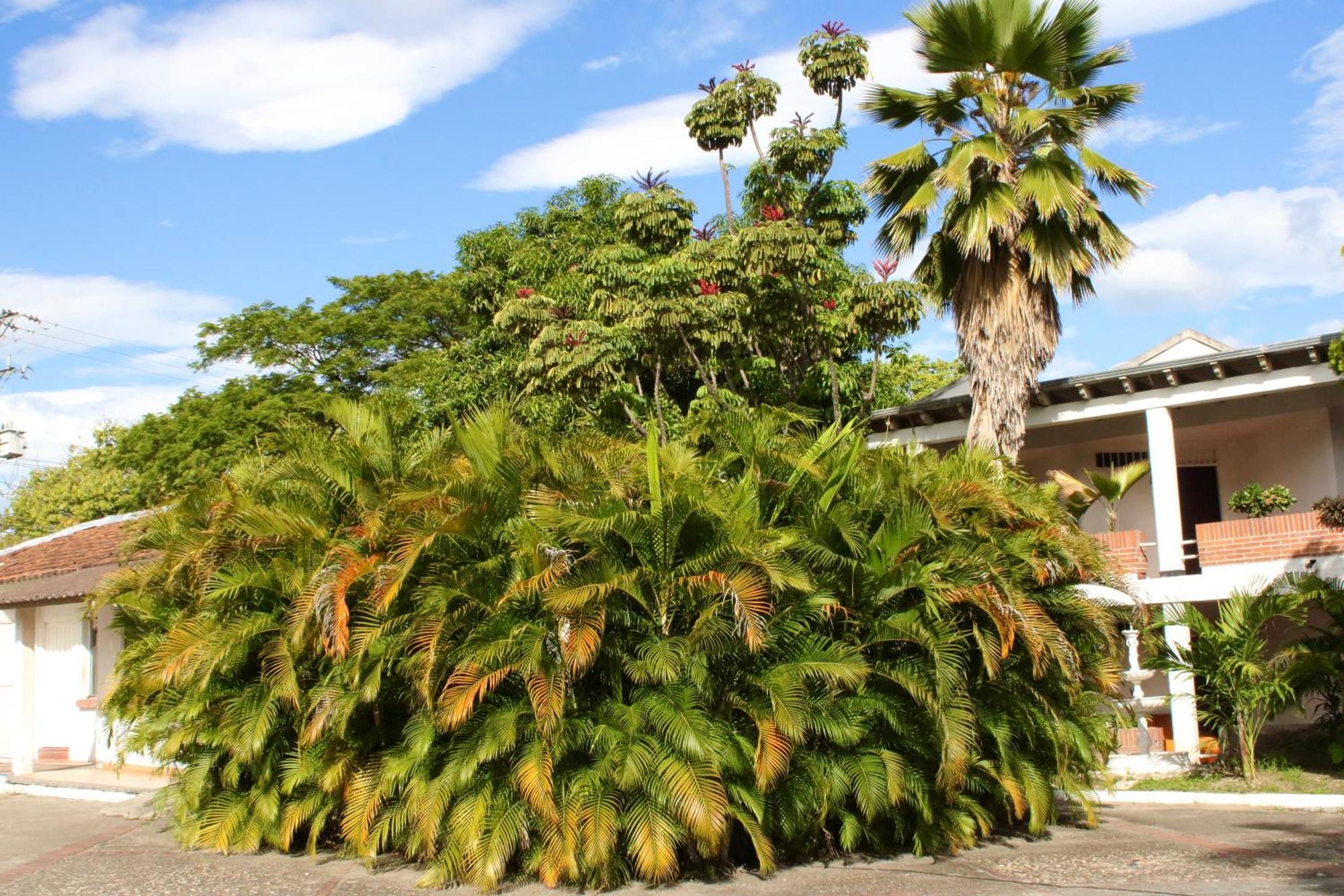 Hotel Mar Azul Neiva Neiva  Luaran gambar